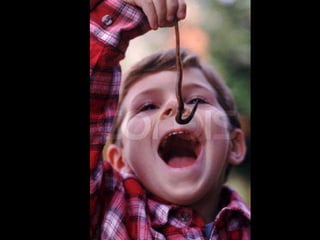 7º ano cap 16   anelideos