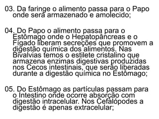 03. Da faringe o alimento passa para o Papo
  onde será armazenado e amolecido;

04. Do Papo o alimento passa para o
  Estômago onde o Hepatopâncreas e o
  Fígado liberam secreções que promovem a
  digestão química dos alimentos. Nas
  Bivalvias temos o estilete cristalino que
  armazena enzimas digestivas produzidas
  nos Cecos intestinais, que serão liberadas
  durante a digestão química no Estômago;

05. Do Estômago as partículas passam para
  o Intestino onde ocorre absorção com
  digestão intracelular. Nos Cefalópodes a
  digestão é apenas extracelular;
 