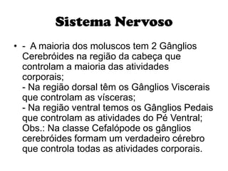 Sistema Nervoso
• - A maioria dos moluscos tem 2 Gânglios
  Cerebróides na região da cabeça que
  controlam a maioria das atividades
  corporais;
  - Na região dorsal têm os Gânglios Viscerais
  que controlam as vísceras;
  - Na região ventral temos os Gânglios Pedais
  que controlam as atividades do Pé Ventral;
  Obs.: Na classe Cefalópode os gânglios
  cerebróides formam um verdadeiro cérebro
  que controla todas as atividades corporais.
 