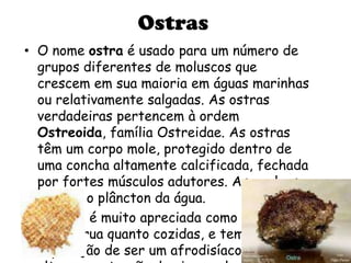 Ostras
• O nome ostra é usado para um número de
  grupos diferentes de moluscos que
  crescem em sua maioria em águas marinhas
  ou relativamente salgadas. As ostras
  verdadeiras pertencem à ordem
  Ostreoida, família Ostreidae. As ostras
  têm um corpo mole, protegido dentro de
  uma concha altamente calcificada, fechada
  por fortes músculos adutores. As guelras
  filtram o plâncton da água.
• A ostra é muito apreciada como comida,
  tanto crua quanto cozidas, e tem
  reputação de ser um afrodisíaco dada a
 