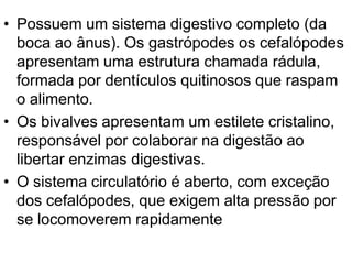 • Possuem um sistema digestivo completo (da
  boca ao ânus). Os gastrópodes os cefalópodes
  apresentam uma estrutura chamada rádula,
  formada por dentículos quitinosos que raspam
  o alimento.
• Os bivalves apresentam um estilete cristalino,
  responsável por colaborar na digestão ao
  libertar enzimas digestivas.
• O sistema circulatório é aberto, com exceção
  dos cefalópodes, que exigem alta pressão por
  se locomoverem rapidamente
 