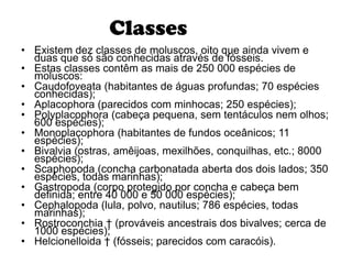 Classes
• Existem dez classes de moluscos, oito que ainda vivem e
  duas que só são conhecidas através de fósseis.
• Estas classes contêm as mais de 250 000 espécies de
  moluscos:
• Caudofoveata (habitantes de águas profundas; 70 espécies
  conhecidas);
• Aplacophora (parecidos com minhocas; 250 espécies);
• Polyplacophora (cabeça pequena, sem tentáculos nem olhos;
  600 espécies);
• Monoplacophora (habitantes de fundos oceânicos; 11
  espécies);
• Bivalvia (ostras, amêijoas, mexilhões, conquilhas, etc.; 8000
  espécies);
• Scaphopoda (concha carbonatada aberta dos dois lados; 350
  espécies, todas marinhas);
• Gastropoda (corpo protegido por concha e cabeça bem
  definida; entre 40 000 e 50 000 espécies);
• Cephalopoda (lula, polvo, nautilus; 786 espécies, todas
  marinhas);
• Rostroconchia † (prováveis ancestrais dos bivalves; cerca de
  1000 espécies);
• Helcionelloida † (fósseis; parecidos com caracóis).
 