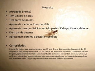 Mosquito
•   Artrópode (inseto)
•   Tem um par de asas
•   Três pares de pernas
•   Apresenta metamorfose completa
•   Apresenta o corpo dividido em três partes: Cabeça, tórax e abdome
•   E um par de antenas
•   Apresentam sistema digestório completo


• Curiosidades
•   O tamanho varia, mas é raramente maior que 15 mm. O peso dos mosquitos é apenas de 2 a 2,5
    miligramas. Eles conseguem voar de 1,5 a 2,5 km/h. Os mosquitos existem há 170 milhões de anos.
    Em geral, apresentam dimorfismo sexual acentuado: os machos apresentam antenas plumosas, e
    as fêmeas apresentam antenas pilosas e são muito mais corpulentas; em quase todas as espécies
    elas alimentam-se de sangue de para maturar seus ovários antes de pôr os ovos.
 