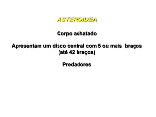 ASTEROIDEA

                Corpo achatado

Apresentam um disco central com 5 ou mais braços
                (até 42 braços)

                  Predadores
 