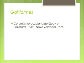 Galliformes

 Coturnix
        novaezelandiae Quoy e
 Gaimard, 1830 - Nova Zelândia, 1875
 