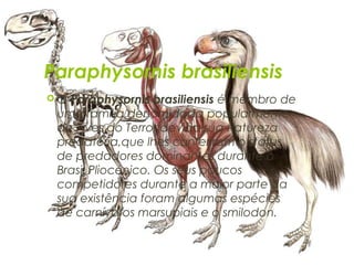 Paraphysornis brasiliensis
O Paraphysornis brasiliensis é membro de
 uma família denomidada popularmente
 de Aves do Terror devido sua natureza
 predatória,que lhes conferiram o status
 de predadores dominantes durante o
 Brasil Pliocénico. Os seus poucos
 competidores durante a maior parte da
 sua existência foram algumas espécies
 de carnívoros marsupiais e o smilodon.
 