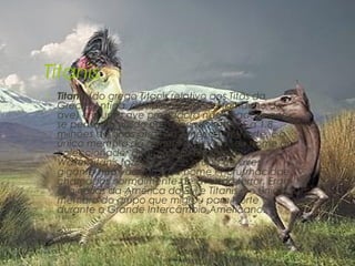 Titanis
•   Titanis (do grego Titanis relativo aos Titãs da
    Grécia Antiga, devido ao grande tamanho da
    ave) era uma ave predadora não voadora que
    se pensa ter vivido num período entre 5 a 1.8
    milhões de anos atrás na América do Norte. É o
    único membro do género e deve o seu nome ao
    coleccionador de holótipos Benjamin
    Waller.Titanis fazia parte do grupo de aves
    gigante não voadoras de nome Phorusrhacidae,
    chamadas normalmente de aves do terror. Eram
    originárias da América do Sul e Titanis é o único
    membro do grupo que migrou para Norte
    durante o Grande Intercâmbio Americano.
 