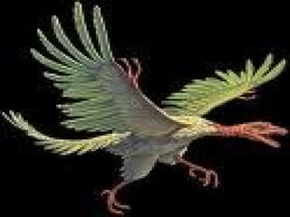 Heitor e Ramon- 6ª 09
 