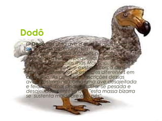 Dodô
•   O Dodô era uma ave a qual as asas haviam
    se atrofiado e sendo assim não podiam mais
    voar, que viveu há 200 anos no atual
    Holoceno atrás em pequenas ilhas do
    Oceano Indico, nas ilhas Maurício, Reunião e
    Rodrigues sendo que existiam cerca de 9
    espécies diferentes, 3 espécies diferentes em
    cada ilha. As primeiras descrições dessas
    aves mostram-na como uma ave desajeitada
    e feia, que "mal podia arrastar-se pesada e
    desajeitadamente" e que "esta massa bizarra
    se sustenta mal sobre dois pés".
 