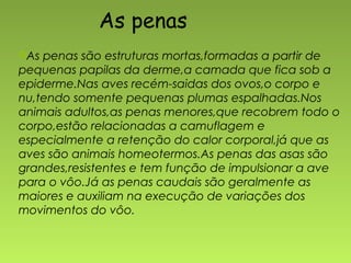 As penas
As penas são estruturas mortas,formadas a partir de
pequenas papilas da derme,a camada que fica sob a
epiderme.Nas aves recém-saidas dos ovos,o corpo e
nu,tendo somente pequenas plumas espalhadas.Nos
animais adultos,as penas menores,que recobrem todo o
corpo,estão relacionadas a camuflagem e
especialmente a retenção do calor corporal,já que as
aves são animais homeotermos.As penas das asas são
grandes,resistentes e tem função de impulsionar a ave
para o vôo.Já as penas caudais são geralmente as
maiores e auxiliam na execução de variações dos
movimentos do vôo.
 