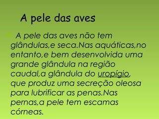 A pele das aves
A pele das aves não tem
glândulas,e seca.Nas aquáticas,no
entanto,e bem desenvolvida uma
grande glândula na região
caudal,a glândula do uropígio,
que produz uma secreção oleosa
para lubrificar as penas.Nas
pernas,a pele tem escamas
córneas.
 