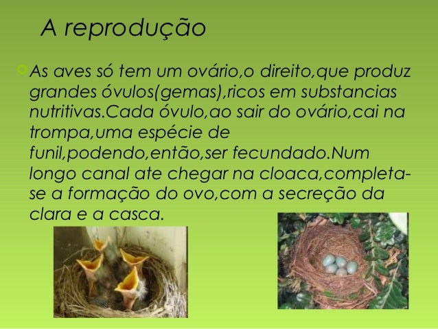 Подшипник aves 7