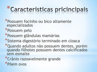 *
*Possuem focinho ou bico altamente
 especializados
*Possuem pelo
*Possuem glândulas mamárias
*Sistema digestório terminado em cloaca
*Quando adultos não possuem dentes, porém
 quando filhotes possuem dentes calcificados
 sem esmalte
*Crânio razoavelmente grande
*Põem ovos
 