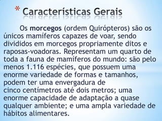*
     Os morcegos (ordem Quirópteros) são os
únicos mamíferos capazes de voar, sendo
divididos em morcegos propriamente ditos e
raposas-voadoras. Representam um quarto de
toda a fauna de mamíferos do mundo: são pelo
menos 1.116 espécies, que possuem uma
enorme variedade de formas e tamanhos,
podem ter uma envergadura de
cinco centímetros até dois metros; uma
enorme capacidade de adaptação a quase
qualquer ambiente; e uma ampla variedade de
hábitos alimentares.
 