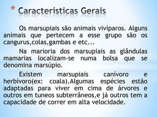 *
     Os marsupiais são animais vivíparos. Alguns
animais que pertecem a esse grupo são os
cangurus,colas,gambas e etc...
     Na marioria dos marsupiais as glândulas
mamarias localizam-se numa bolsa que se
denomina marsúpio.
     Existem     marsupiais      canívoro      e
herbívoro(ex: coala).Algumas espécies estão
adaptadas para viver em cima de árvores e
outros em tuneos subterrâneos,e já outros tem a
capacidade de correr em alta velocidade.
 