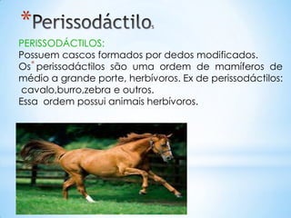 *
PERISSODÁCTILOS:
Possuem cascos formados por dedos modificados.
Os* perissodáctilos são uma ordem de mamíferos de
médio a grande porte, herbívoros. Ex de perissodáctilos:
 cavalo,burro,zebra e outros.
Essa ordem possui animais herbívoros.
 