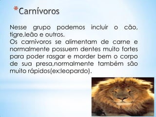 *
Nesse grupo podemos incluir o cão,
tigre,leão e outros.
Os carnívoros se alimentam de carne e
normalmente possuem dentes muito fortes
para poder rasgar e morder bem o corpo
de sua presa,normalmente também são
muito rápidos(ex:leopardo).
 