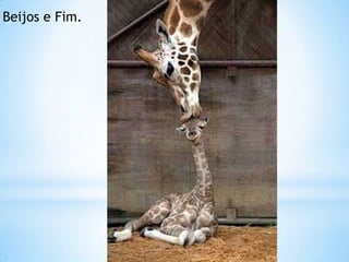 Beijos e Fim.
 