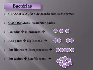  CLASSIFICAÇÃO: de acordo com suas formas
 COCOS: Grânulos arredondados
 Isolados  micrococos 
 Aos pares  diplococos 
 Em fileiras  Estreptococos 
 Em cachos  Estafilococos 
 