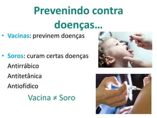 Prevenindo contra
              doenças…
• Vacinas: previnem doenças

• Soros: curam certas doenças
  Antirrábico
  Antitetânica
  Antiofídico
        Vacina ≠ Soro
 