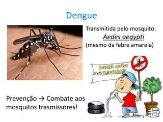 Dengue
                          Transmitida pelo mosquito:
                                Aedes aegypti
                          (mesmo da febre amarela)




Prevenção → Combate aos
mosquitos trasmissores!
 