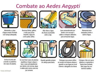 Combate ao Aedes Aegypti
 