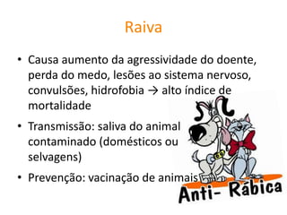 Raiva
• Causa aumento da agressividade do doente,
  perda do medo, lesões ao sistema nervoso,
  convulsões, hidrofobia → alto índice de
  mortalidade
• Transmissão: saliva do animal
  contaminado (domésticos ou
  selvagens)
• Prevenção: vacinação de animais
 