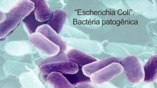 “Escherichia Coli”.
Bactéria patogênica
 