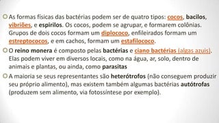 As formas físicas das bactérias podem ser de quatro tipos: cocos, bacilos,
 vibriões, e espirilos. Os cocos, podem se agrupar, e formarem colônias.
 Grupos de dois cocos formam um diplococo, enfileirados formam um
 estreptococos, e em cachos, formam um estafilococo.
O reino monera é composto pelas bactérias e ciano bactérias (algas azuis).
 Elas podem viver em diversos locais, como na água, ar, solo, dentro de
 animais e plantas, ou ainda, como parasitas
A maioria se seus representantes são heterótrofos (não conseguem produzir
 seu próprio alimento), mas existem também algumas bactérias autótrofas
 (produzem sem alimento, via fotossíntese por exemplo).
 
