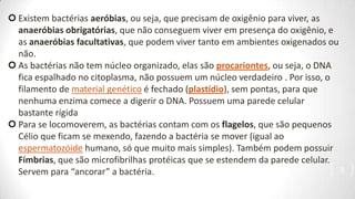  Existem bactérias aeróbias, ou seja, que precisam de oxigênio para viver, as
  anaeróbias obrigatórias, que não conseguem viver em presença do oxigênio, e
  as anaeróbias facultativas, que podem viver tanto em ambientes oxigenados ou
  não.
 As bactérias não tem núcleo organizado, elas são procariontes, ou seja, o DNA
  fica espalhado no citoplasma, não possuem um núcleo verdadeiro . Por isso, o
  filamento de material genético é fechado (plastídio), sem pontas, para que
  nenhuma enzima comece a digerir o DNA. Possuem uma parede celular
  bastante rígida
 Para se locomoverem, as bactérias contam com os flagelos, que são pequenos
  Célio que ficam se mexendo, fazendo a bactéria se mover (igual ao
  espermatozóide humano, só que muito mais simples). Também podem possuir
  Fímbrias, que são microfibrilhas protéicas que se estendem da parede celular.
  Servem para “ancorar” a bactéria.                                             3
 