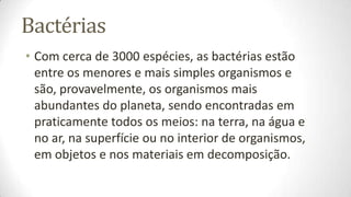 Bactérias
• Com cerca de 3000 espécies, as bactérias estão
  entre os menores e mais simples organismos e
  são, provavelmente, os organismos mais
  abundantes do planeta, sendo encontradas em
  praticamente todos os meios: na terra, na água e
  no ar, na superfície ou no interior de organismos,
  em objetos e nos materiais em decomposição.
 