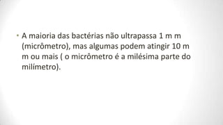 • A maioria das bactérias não ultrapassa 1 m m
  (micrômetro), mas algumas podem atingir 10 m
  m ou mais ( o micrômetro é a milésima parte do
  milímetro).
 