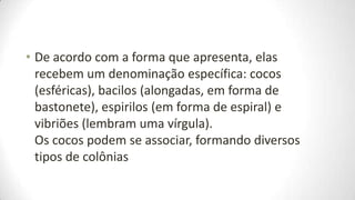 • De acordo com a forma que apresenta, elas
  recebem um denominação específica: cocos
  (esféricas), bacilos (alongadas, em forma de
  bastonete), espirilos (em forma de espiral) e
  vibriões (lembram uma vírgula).
  Os cocos podem se associar, formando diversos
  tipos de colônias
 