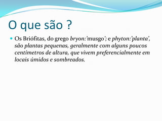 O que são ?
 Os Briófitas, do grego bryon:’musgo’; e phyton:’planta’,
  são plantas pequenas, geralmente com alguns poucos
  centímetros de altura, que vivem preferencialmente em
  locais úmidos e sombreados.
 