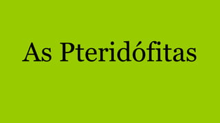 As Pteridófitas
 