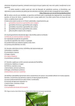 alimentam de geleia de operária, contendo menos açúcar do que a geleia real, mais mel e pólen, transformam-se em
operárias.
A rainha mantém a ordem social por meio da liberação de substâncias químicas, os feromônios, que
informam os outros membros da colônia que ela está ativa e presente, além de inibir a produção de novas rainhas.
(http://educacao.uol.com.br/ciencias/abelhas2.jhtm)
24. Ao realizar uma de suas atividades, as operárias contribuem para a reprodução das angiospermas. Isso acontece
quando, em busca de néctar, a operária fica com o corpo repleto de I. Ao visitar outras flores em busca de mais
néctar, as abelhas levam esses II.
O texto acima estará correto se I e II forem substituídos, respectivamente, por
a) gametófitos masculinos e gametófitos até o estigma.
b) gametófitos femininos e gametófitos até o estigma.
c) gametófitos masculinos e gametófitos até a antera.
d) gametófitos femininos e gametófitos até a antera.
e) grãos de pólen e esporos até o estigma.
25. O porte geralmente reduzido das algas e das briófitas pode ser atribuído:
a) à falta de um sistema condutor verdadeiro.
b) à reprodução sexuada de seus gametas.
c) ao fato do esporófito não realizar a respiração.
d) à predominância do ambiente aquático onde vivem.
e) à presença de estômatos nos talos.
26. Assinale a alternativa correta. As Briófitas são representadas por
a) bromélias e orquídeas
b) samambaias e avencas
c) fungos e liquens
d) musgos e hepáticas
e) samambaias e pinheiros
27. Assinale a opção que contém somente exemplos de Pteridófitas.
a) Antóceros, hepáticas e musgos
b) Pinheiros, ciprestes e cicas
c) Samambaias, avencas e pinheiros
d) Musgos, samambaias e pinheiros
e) Samambaias, avencas e cavalinhas
28. Briófitas e pteridófitas apresentam várias características em comum, mas também diferem em muitos aspectos.
Assinale a característica que pertence a apenas um desses grupos de plantas.
a) crescer preferencialmente em solos úmidos e sombreados
b) necessitar de água para reproduzir-se
c) não ter flores, sementes e frutos
d) ser criptógama
e) ser portadora de tecidos de transporte
29. A figura mostra a face inferior de uma folha onde se observam estruturas reprodutivas.
 