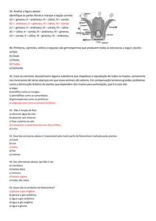 39. Analise a figura abaixo:
Identifique as partes florais e marque a opção correta:
a) I – gineceu; II – androceu; III – cálice; IV – corola.
b) I – androceu; II – gineceu; III – cálice; IV – corola.
c) I – gineceu; II – androceu; III – corola; IV – cálice.
d) I – cálice; II – corola; III – androceu; IV – gineceu.
e) I – corola; II – cálice; III – gineceu; IV – androceu.
40. Pinheiros, ciprestes, cedros e sequoias são gimnospermas que produzem todas as estruturas a seguir, exceto:
a) Raiz.
b) Caule.
c) Flores.
d) Frutos.
e) Semente.
41. Caso os cientistas descobrissem alguma substância que impedisse a reprodução de todos os insetos, certamente
nos livraríamos de várias doenças em que esses animais são vetores. Em compensação teríamos grandes problemas
como a diminuição drástica de plantas que dependem dos insetos para polinização, que é o caso das
a) algas.
b) briófitas como os musgos.
c) pteridófitas como as samambaias.
d) gimnospermas como os pinheiros.
e) angiospermas como as árvores frutíferas.
42. Não é função da Raiz:
a) absorver água do solo
b) absorver sais minerais
c) fixar a planta no solo
d) transportar a seiva bruta do solo até as folhas
e) n.d.a
43. Qual das estruturas abaixo é responsável pela maior parte da fotossíntese realizada pelas plantas:
a) Caule
b) raiz
c) folha
d) flor
e) anteras
44. Das alternativas abaixo, qal não é raiz:
a) mandioca
b) batata-doce
c) cenoura
d) batata inglesa
e) todas são raízes.
45. Quais são os produtos da fotossíntese?
a) glicose e gás oxigênio
b) glicose e gás carbônico
c) água e gás carbônico
d) água e gás oxigênio
e) água e glicose
 
