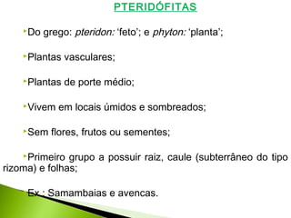 PTERIDÓFITAS
Do grego: pteridon: ‘feto’; e phyton: ‘planta’;
Plantas vasculares;
Plantas de porte médio;
Vivem em locais úmidos e sombreados;
Sem flores, frutos ou sementes;
Primeiro grupo a possuir raiz, caule (subterrâneo do tipo
rizoma) e folhas;
Ex.: Samambaias e avencas.
 