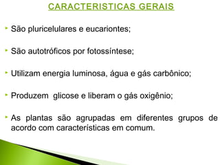 CARACTERISTICAS GERAIS
 São pluricelulares e eucariontes;
 São autotróficos por fotossíntese;
 Utilizam energia luminosa, água e gás carbônico;
 Produzem glicose e liberam o gás oxigênio;
 As plantas são agrupadas em diferentes grupos de
acordo com características em comum.
 