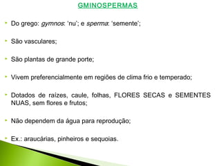 GMINOSPERMAS
 Do grego: gymnos: ‘nu’; e sperma: ‘semente’;
 São vasculares;
 São plantas de grande porte;
 Vivem preferencialmente em regiões de clima frio e temperado;
 Dotados de raízes, caule, folhas, FLORES SECAS e SEMENTES
NUAS, sem flores e frutos;
 Não dependem da água para reprodução;
 Ex.: araucárias, pinheiros e sequoias.
 