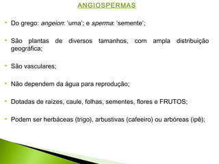 ANGIOSPERMAS
 Do grego: angeion: ‘urna’; e sperma: ‘semente’;
 São plantas de diversos tamanhos, com ampla distribuição
geográfica;
 São vasculares;
 Não dependem da água para reprodução;
 Dotadas de raízes, caule, folhas, sementes, flores e FRUTOS;
 Podem ser herbáceas (trigo), arbustivas (cafeeiro) ou arbóreas (ipê);
 