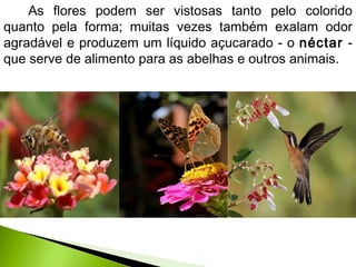 As flores podem ser vistosas tanto pelo colorido
quanto pela forma; muitas vezes também exalam odor
agradável e produzem um líquido açucarado - o néctar -
que serve de alimento para as abelhas e outros animais.
 