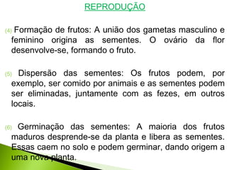 REPRODUÇÃO
(4) Formação de frutos: A união dos gametas masculino e
feminino origina as sementes. O ovário da flor
desenvolve-se, formando o fruto.
(5) Dispersão das sementes: Os frutos podem, por
exemplo, ser comido por animais e as sementes podem
ser eliminadas, juntamente com as fezes, em outros
locais.
(6) Germinação das sementes: A maioria dos frutos
maduros desprende-se da planta e libera as sementes.
Essas caem no solo e podem germinar, dando origem a
uma nova planta.
 