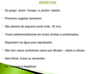 BRIÓFITAS
 Do grego: bryon: ‘musgo’; e phyton: ‘planta’;
 Primeiros vegetais terrestres;
 São plantas de pequeno porte (máx. 30 cm);
 Vivem preferencialmente em locais úmidos e sombreados;
 Dependem da água para reprodução;
 Não tem vasos condutores (seiva por difusão – célula a célula);
 Sem flores, frutos ou sementes;
 Ex.: musgos e hepáticas.
 