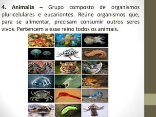 4. Animalia – Grupo  composto  de  organismos 
pluricelulares  e  eucariontes.  Reúne  organismos  que, 
para  se  alimentar,  precisam  consumir  outros  seres 
vivos. Pertencem a esse reino todos os animais.
 