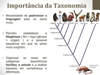 o Necessidade de padronizar a
linguagem para os seres
vivos;
o Permitiu estabelecer a
filogênese ( filo = raça /gênese
= origem ) e a possível
sequência em que os seres
vivos surgiram;
o Organizar os seres em
categorias taxonômicas
facilitou o estudo e a análise
baseada em semelhança e
diferenças.
Importância da Taxonomia
 