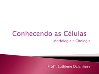 Morfologia e Citologia
Profª: Luthiene Dalanhese
 