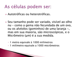  Autotróficas ou heterotróficas.
 Seu tamanho pode ser variado, visível ao olho
nu – como a gema não fecundada de um ovo,
ou os alvéolos (gominhos) de uma laranja -,
mas em sua maioria, são microscópicas, e o
Micrômetro (μm) é a sua medida.
◦ 1 metro equivale à 1000 milímetros
◦ 1 milímetro equivale a 1000 micrômetros
 