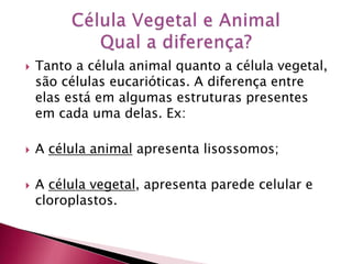  Tanto a célula animal quanto a célula vegetal,
são células eucarióticas. A diferença entre
elas está em algumas estruturas presentes
em cada uma delas. Ex:
 A célula animal apresenta lisossomos;
 A célula vegetal, apresenta parede celular e
cloroplastos.
 