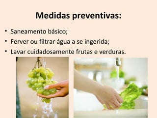 Medidas preventivas:
• Saneamento básico;
• Ferver ou filtrar água a se ingerida;
• Lavar cuidadosamente frutas e verduras.
 